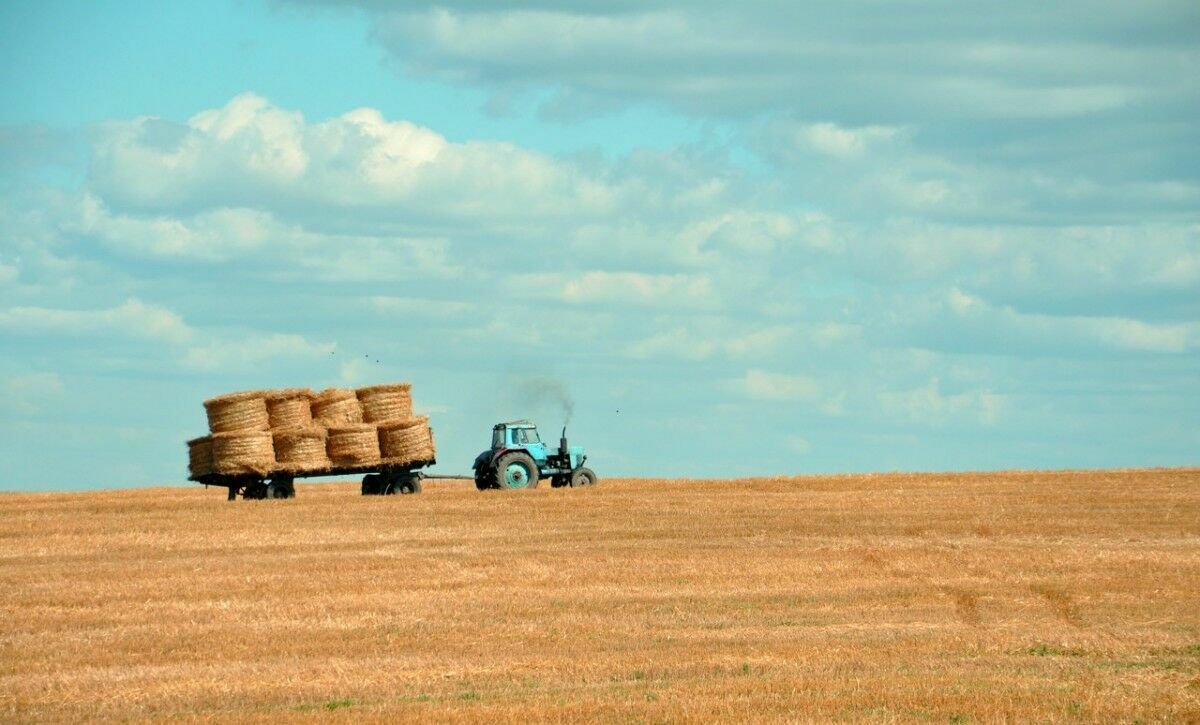 Государственная поддержка аграриев Ростовской области выросла до 8,8 млрд