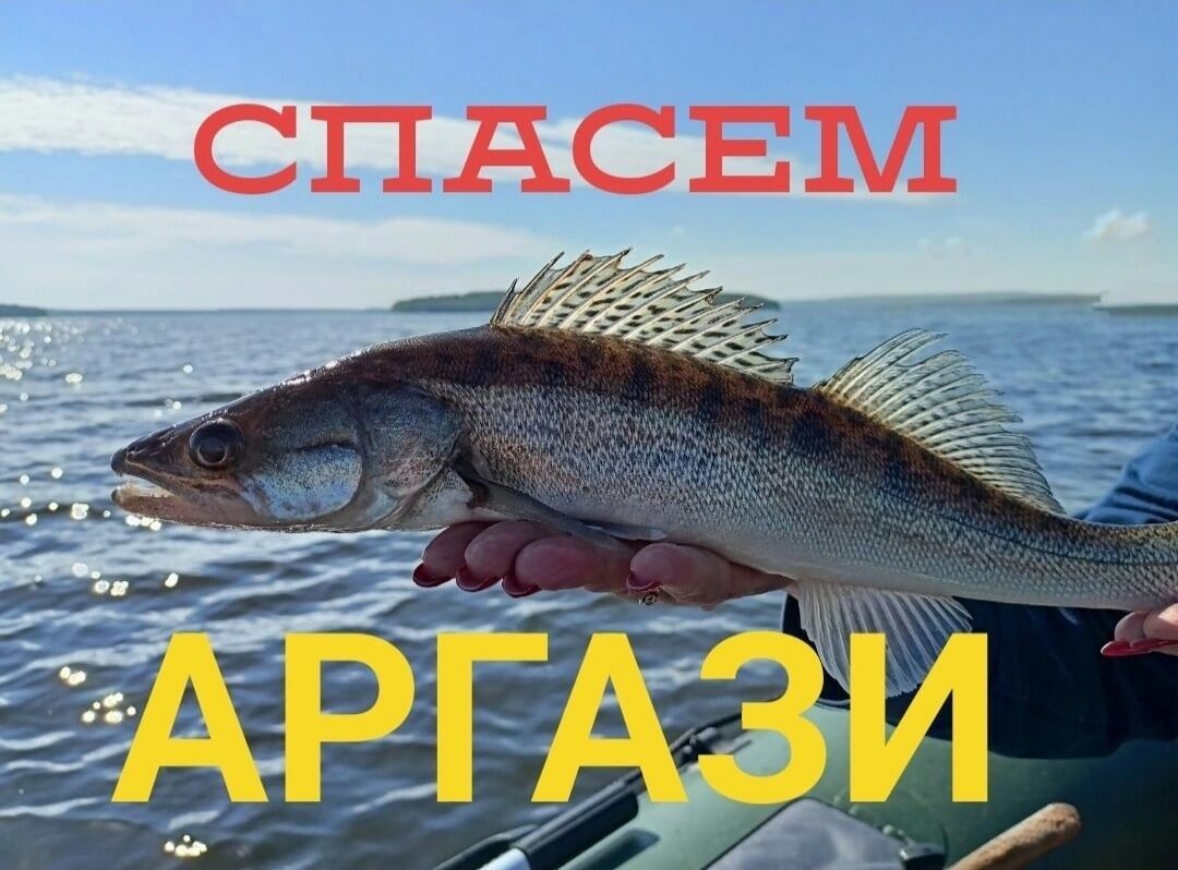 На Урале рыбаки выступили против промышленного лова рыбы