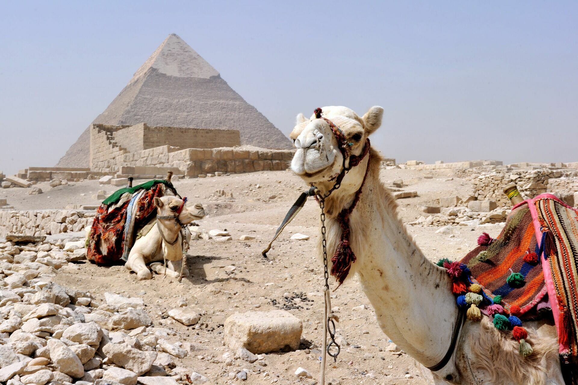 Россия восстанавливает авиасообщение с курортными городами Египта