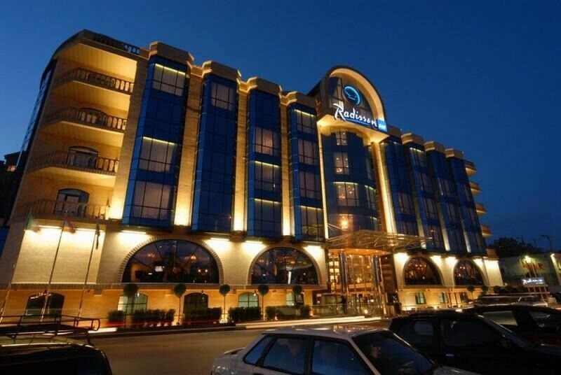 Radisson SAS Don Hotel (другое название отеля) был построен семьей Гогорян в 2008 году на кредитные средства «Сбербанка». 