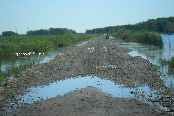 Жители Омской области ловят рыбу в лужах у дороги