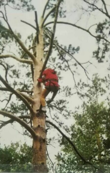 "Испытание на прочность" - лазанье по деревьям в школьном походе: на фото - Яна Венгель