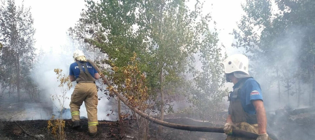 В Тольятти огонь занял более 15 га леса
