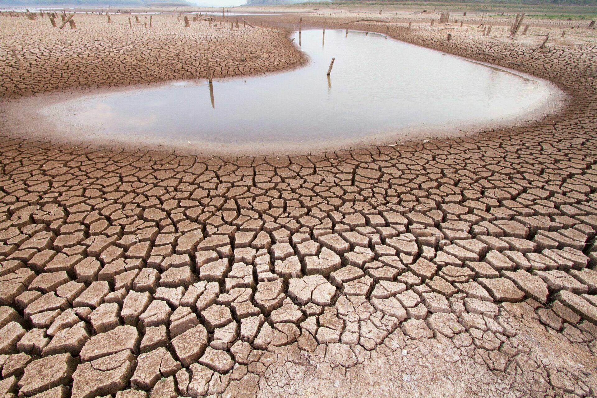 ООН: сокращение водных запасов на Земле стало серьезной угрозой человечеству