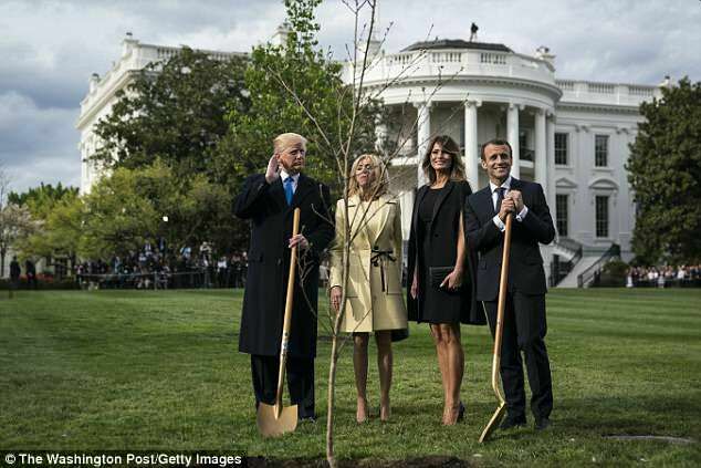 С лужайки у Белого дома пропал "дуб дружбы", посаженный Трампом и Макроном