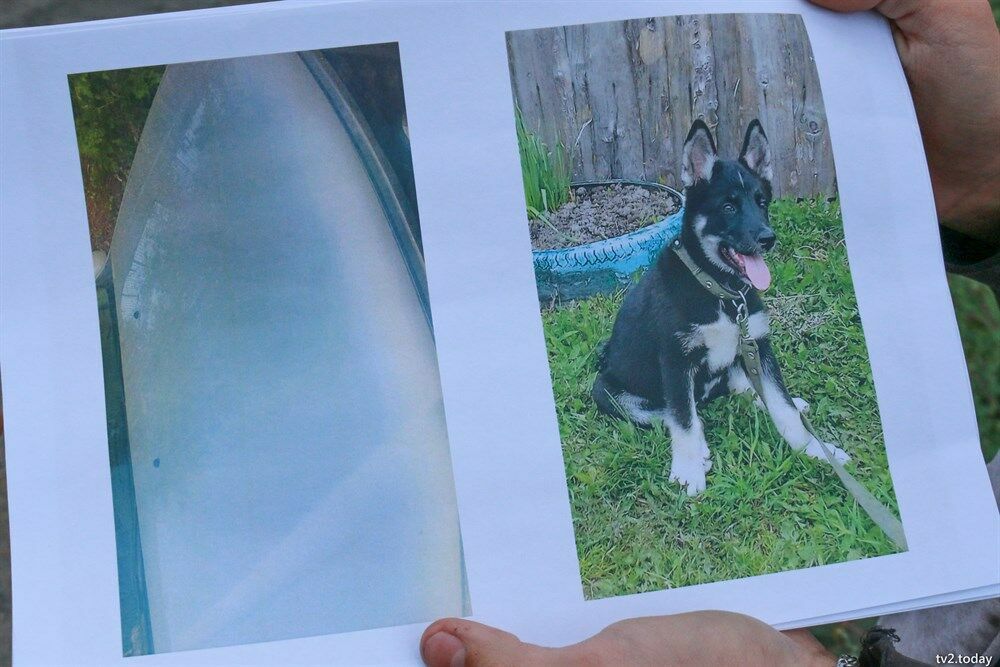 В Томске на защищавшего свою собаку подростка завели уголовное дело