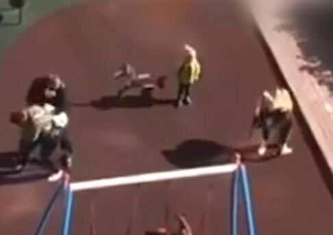 В Сети появилось видео нападения женщины с собакой на ребёнка на детской площадке