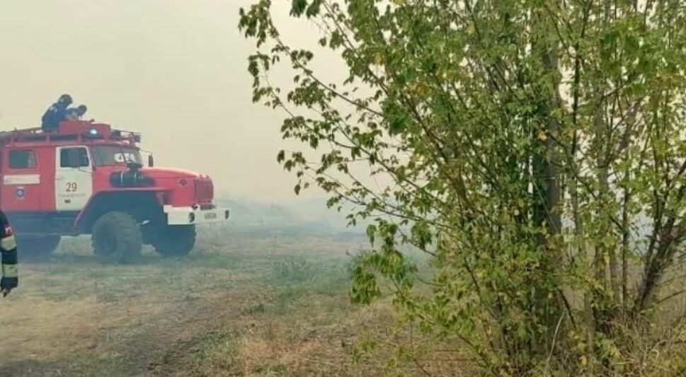 В Усть-Донецком районе Ростовской области потушен крупный лесной пожар