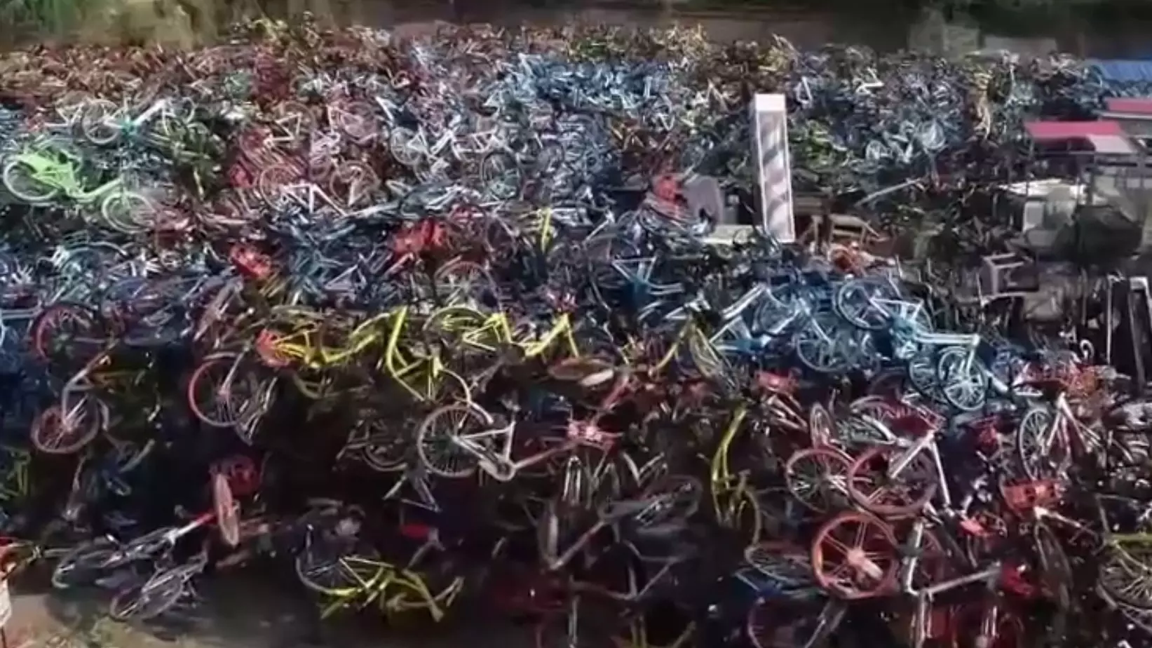 Их здесь сотни тысяч: в Китае растут кладбища прокатных велосипедов
