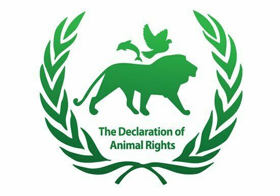 10 декабря - международный день защиты Прав животных. Но не в России...