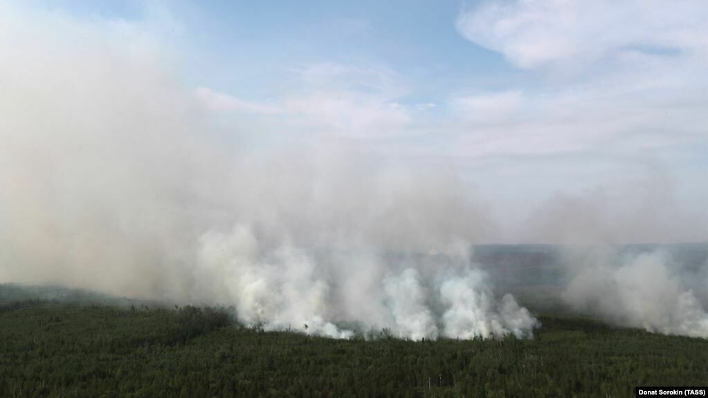 Вопрос дня: почему не горят леса в Скандинавии и Канаде?