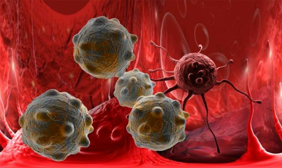 Ученые научились убивать раковые клетки без ущерба для здоровых