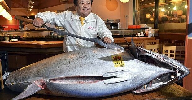 За 629 тысяч долларов продали тунца на аукционе в Японии (видео)