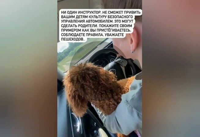 Депутат Госдумы посадил за руль 10-летнюю дочь с собакой