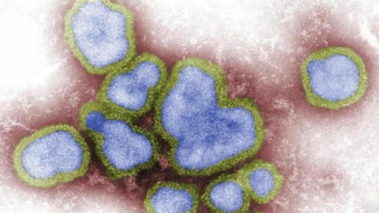 ВОЗ сообщила о первой смерти от птичьего гриппа в Китае