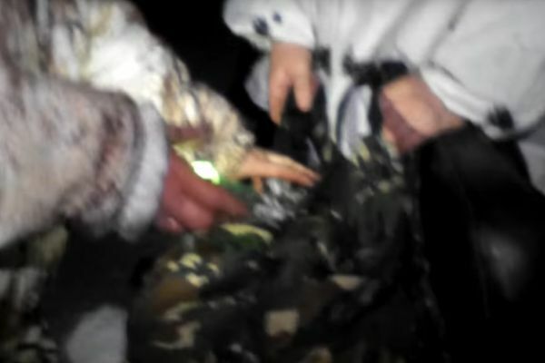 Омского чиновника проверяют после скандального видео с браконьерами