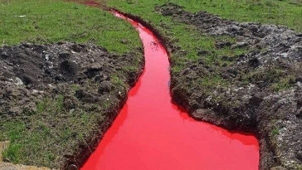 В белгородском селе появились красные «реки» (ФОТО)