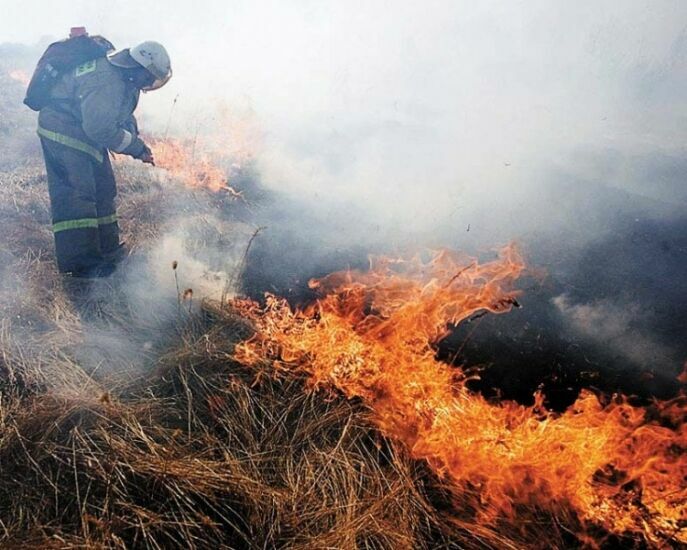 За три выходных дня площадь лесных пожаров в стране выросла в 17 раз