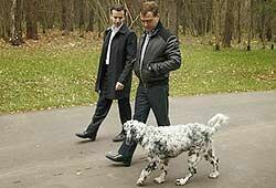 Собаки Медведева получили награды