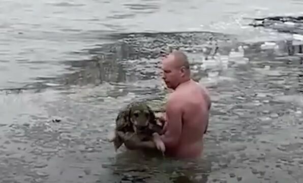 Волгоградец вытащил на берег провалившуюся под лед собаку