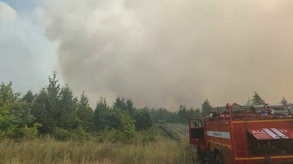 Причиной лесных пожаров в Тольятти назван поджог