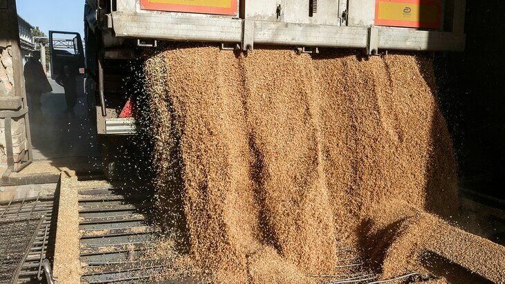 В Киеве заявили о продлении зерновой сделки на 120 дней