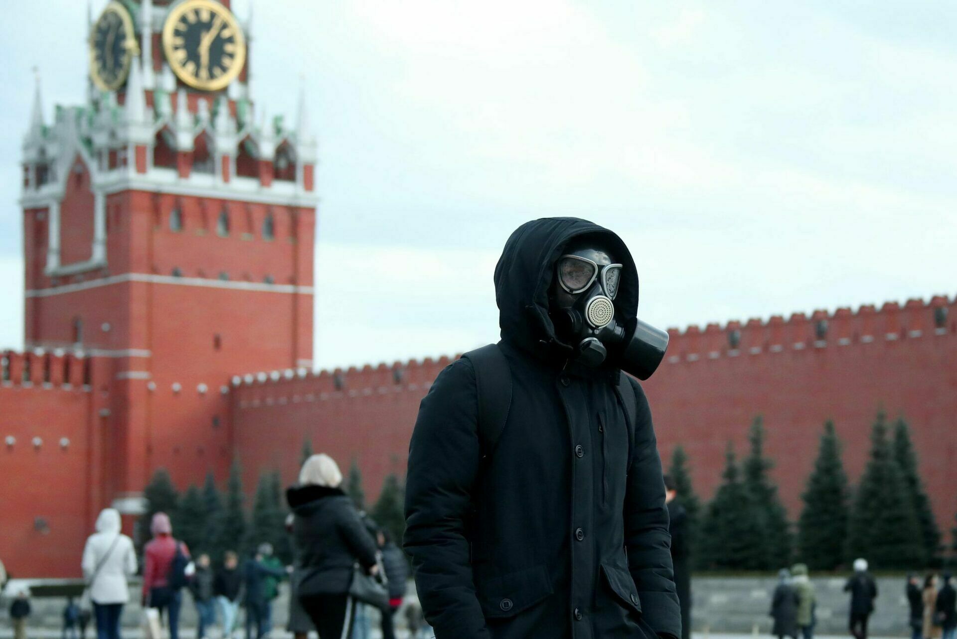 С ростом заболевших в России растет интерес к пандемии в интернете