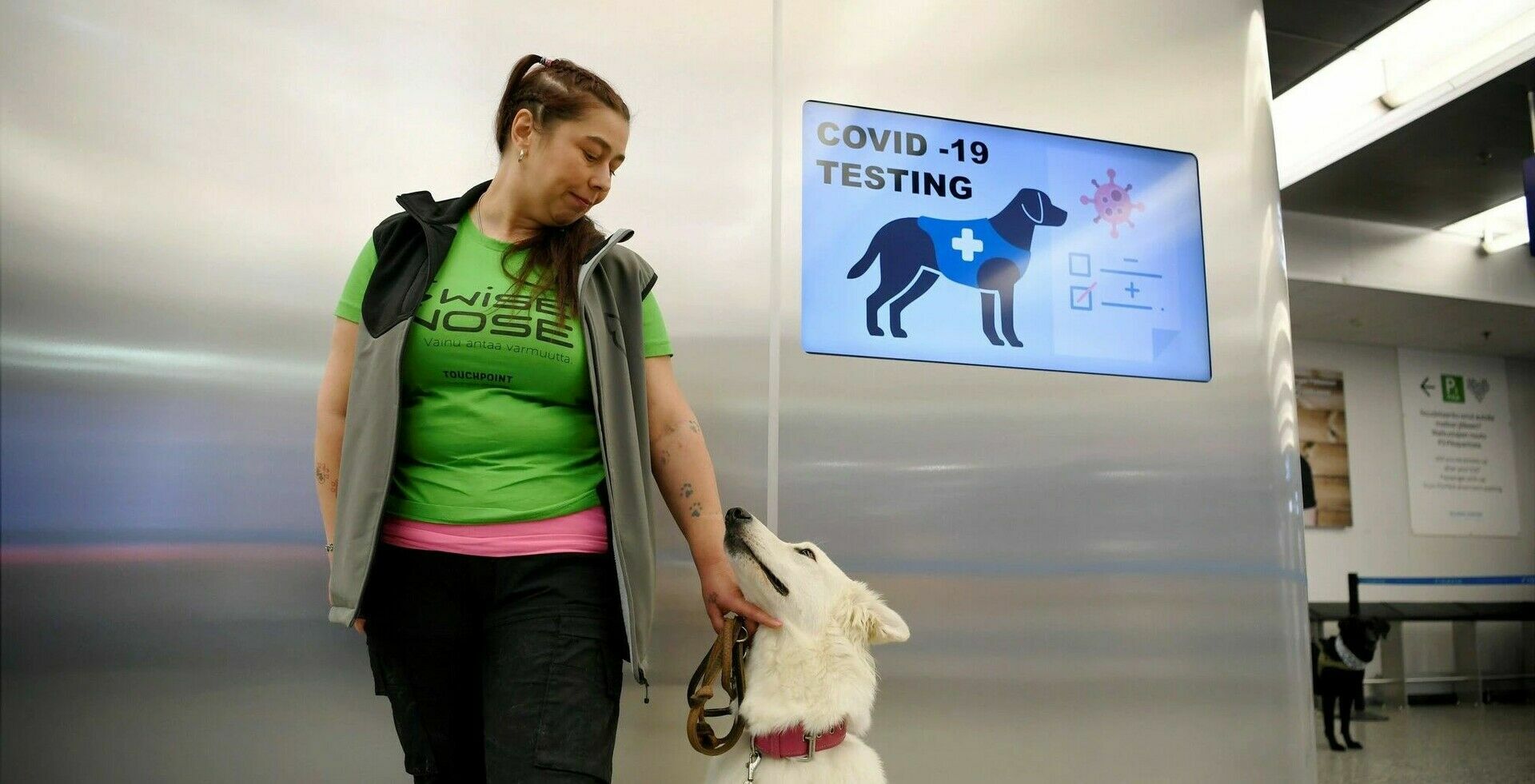 В аэропорту Хельсинки собак научили распознавать больных коронавирусом