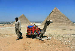 Российские туристы смогут отправиться на отдых в Египет уже зимой