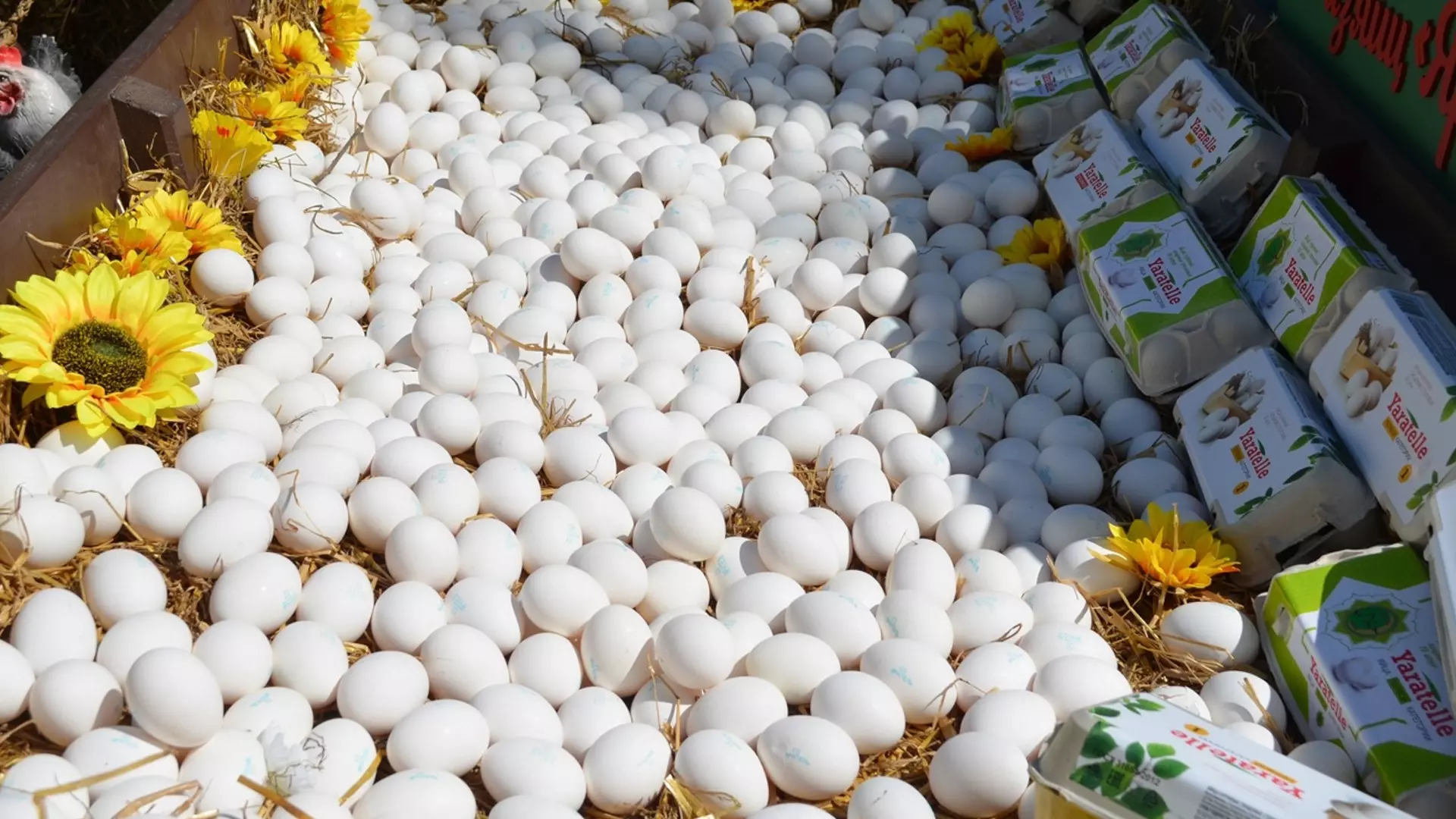 Цены на яйца не снижаются несмотря на рост импорта