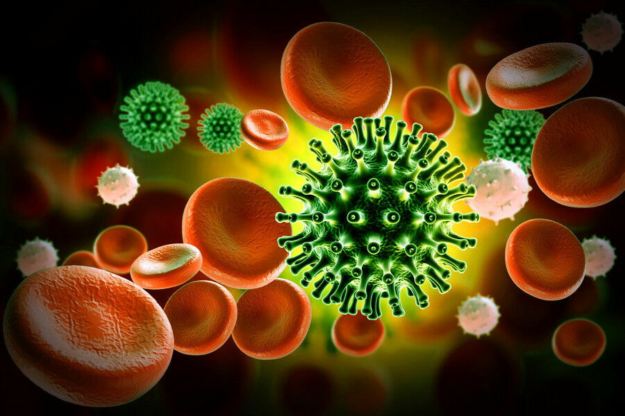 Ученые гадают, какой вирус спровоцирует следующую пандемию