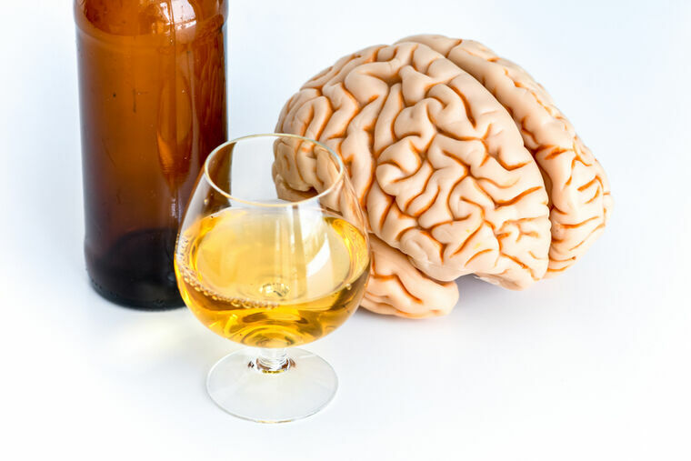 Дело - в мозге: одной из причин алкоголизма назван малый объем серого вещества