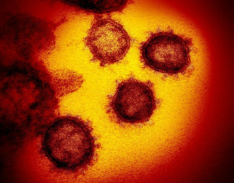 Поторопились! Заявления китайских ученых о мутации коронавируса – это спекуляция