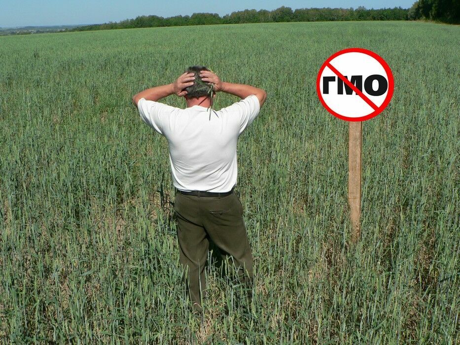 Эксперт: маркировка «не содержит ГМО» совершенно бессмысленна