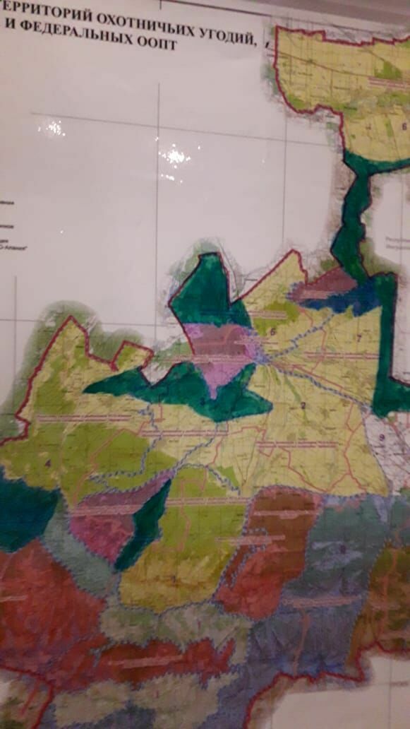 На карте незаконно сдававшиеся в аренду  участки земли закрашены темно-зеленым цветом