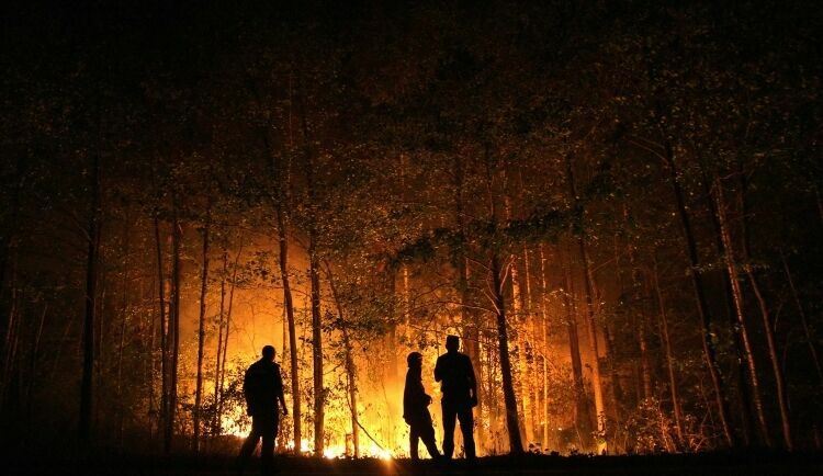 Площадь лесных пожаров в России за сутки увеличилась на 5%