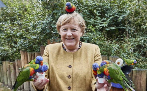 Ангела Меркель и политики в Германии