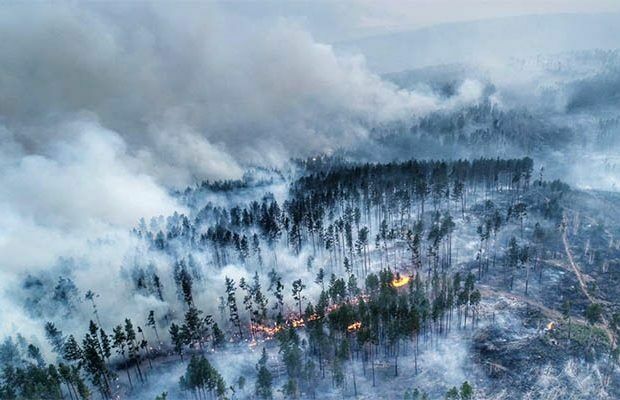 Дым от лесных пожаров в Сибири накрыл Монголию