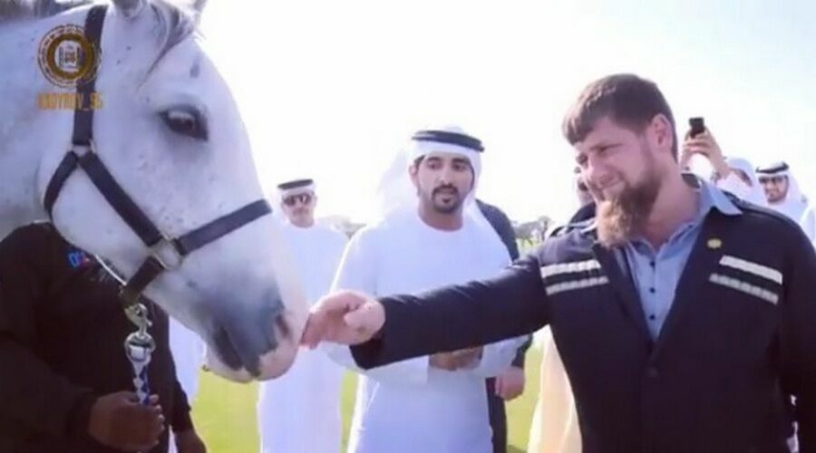 Кадырова заподозрили в незаконном присвоении дорогой лошади
