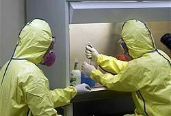 Свиной грипп был создан искусственно и сбежал из лаборатории