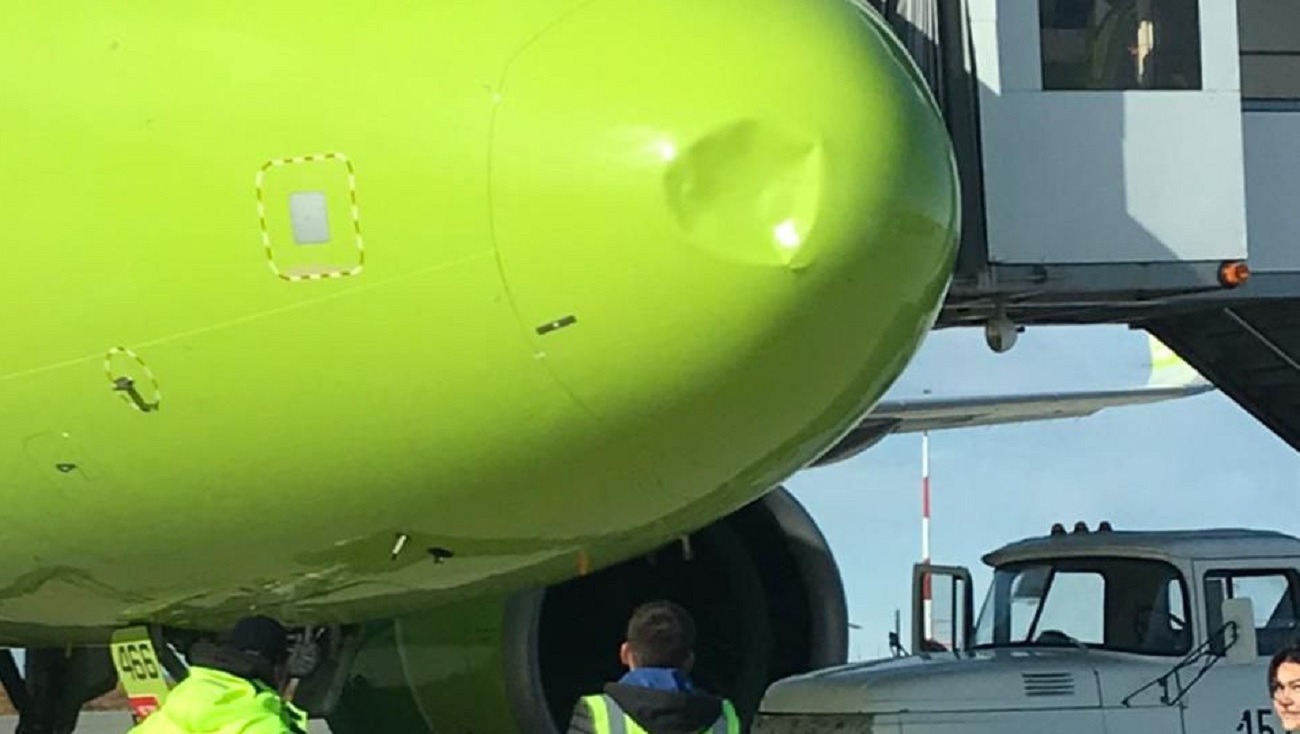 Самолет со 157 пассажирами столкнулся с птицей при посадке на Чукотке