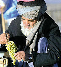 Талибы угрожают расправой брадобреям