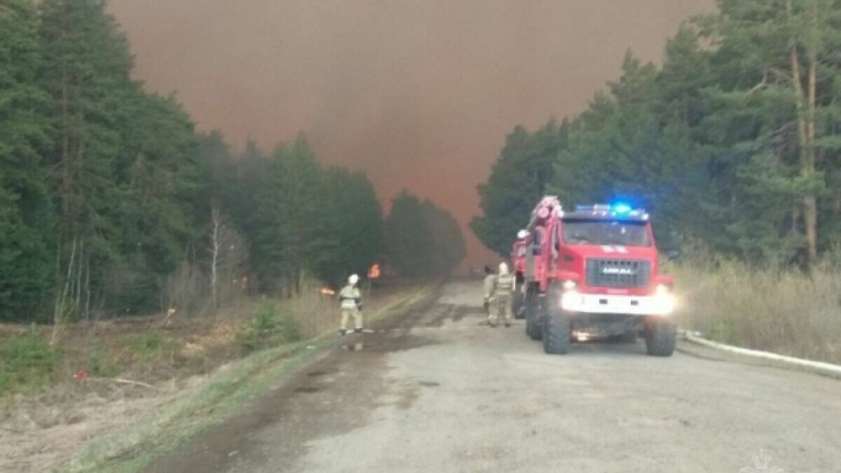Почти 80 человек эвакуированы в селе Успенка Тюменской области из-за пожара (ВИДЕО)