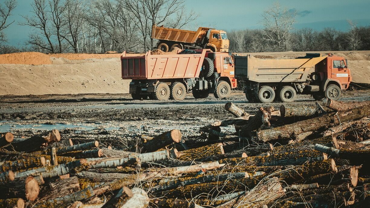 Резидент ТОР «Хабаровск» построит предприятие по глубокой переработке леса