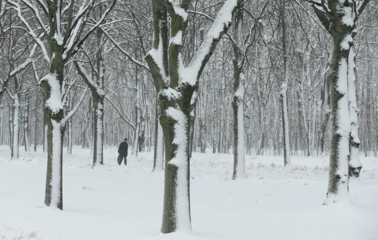 В Москву вернулась настоящая зима