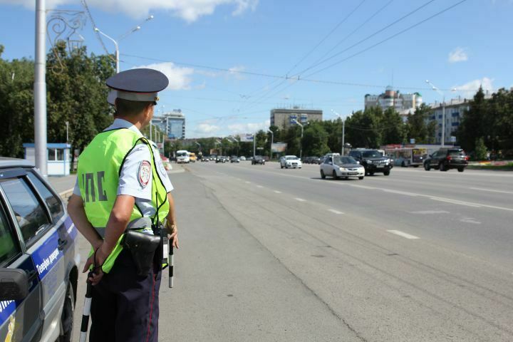 Полицейские Кемерова наказали водителя за авто «Шкурнадзора»
