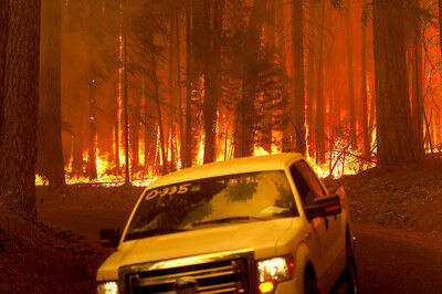 В Калифорнии бушует мощный лесной пожар