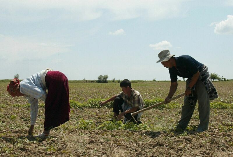Китай попросил 50 тысяч гектаров земли в Приморском крае