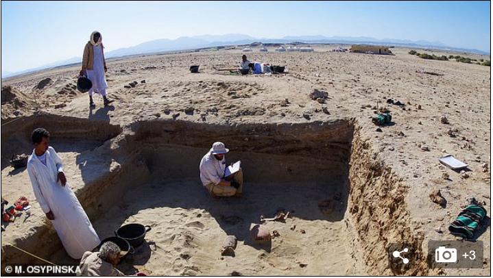 В Египте обнаружили старейшее в мире кладбище домашних животных