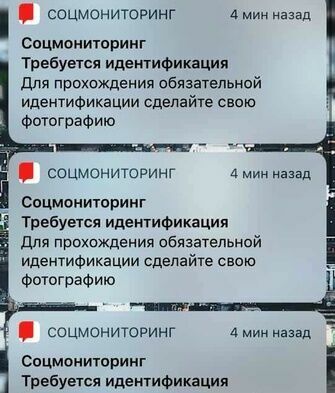 Власти Москвы не откажутся от выписывающего штрафы "Социального мониторинга"